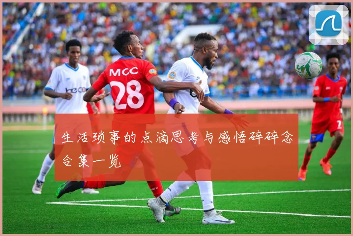 生活琐事的点滴思考与感悟碎碎念合集一览