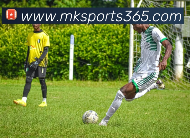 mk体育APP 封面图